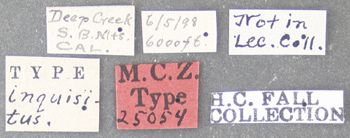 Media type: image;   Entomology 25054 Aspect: labels